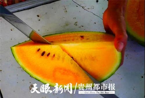 贵阳吃瓜爆料视频,揭秘本地热点事件