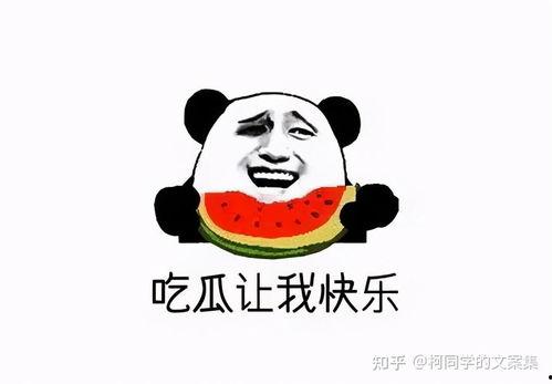 吃瓜视频丢人不丢钱,丢人还是丢钱，揭秘网络时代的社交真相