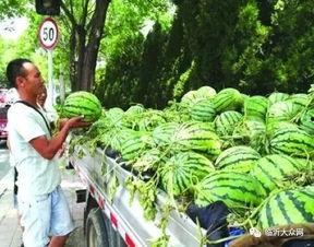 临沂市吃瓜视频,揭秘当地美食文化盛宴