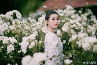 刘诗诗娱乐圈吃瓜视频,揭秘明星幕后生活