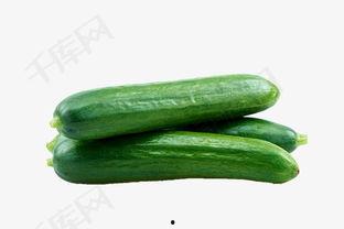吃葫芦瓜视频素材下载,视频素材中的美味探索