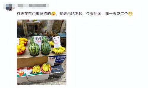 韩国人中国吃瓜视频大全,趣味横生的视频大全解析