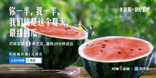 自由吃瓜文案视频,揭秘热门视频背后的趣味故事