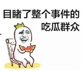 带你吃瓜爆笑作业视频,笑料百出！带你领略“吃瓜爆笑作业”视频的魅力